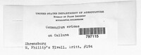 Image Associated With the Occurence